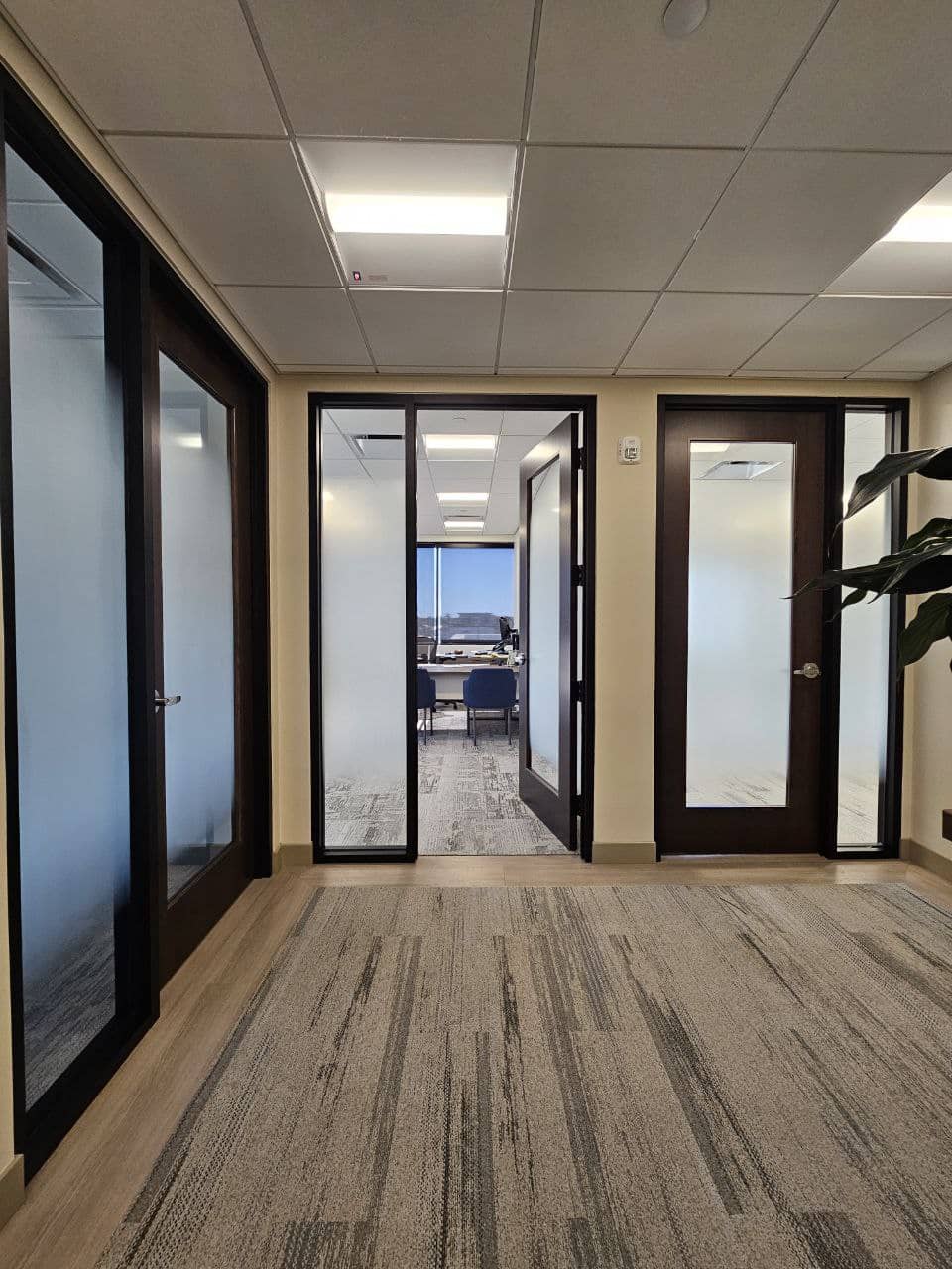 decorative window film installation Tampa