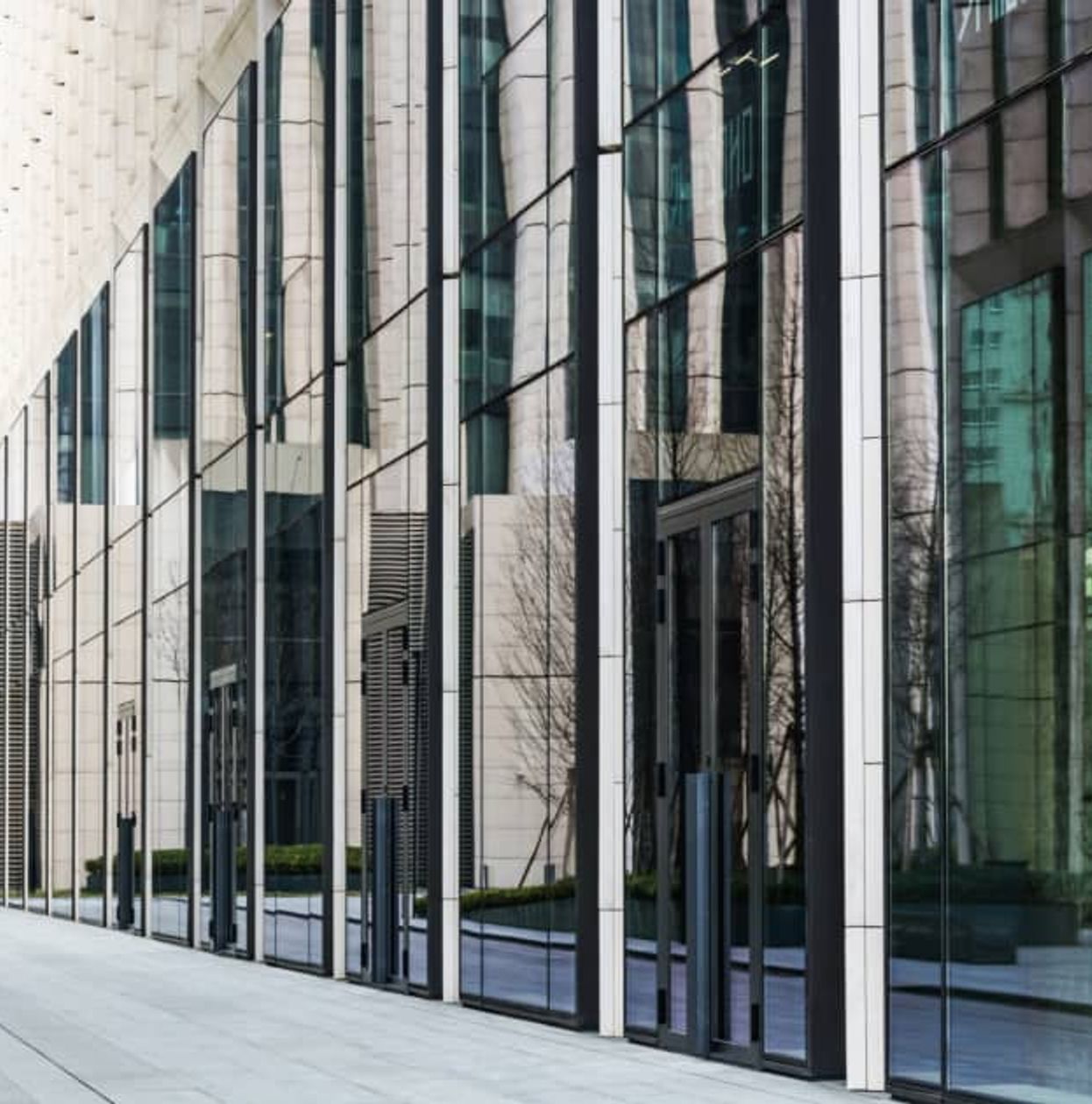 windows in huge building with clean tinted glass windows